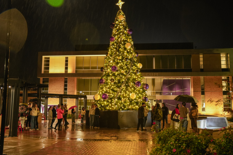 Church of Christ members navigate Christmas without a biblical blueprint